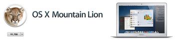 mountain lion.jpg